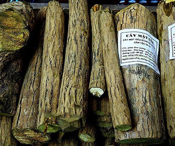 Cây Mật Gấu Tây Bắc 2Kg