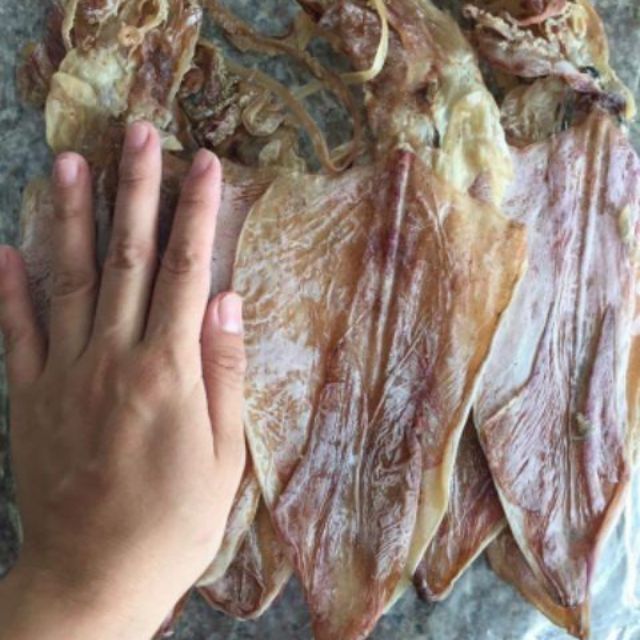 COMBO 10 CON MỰC y hình