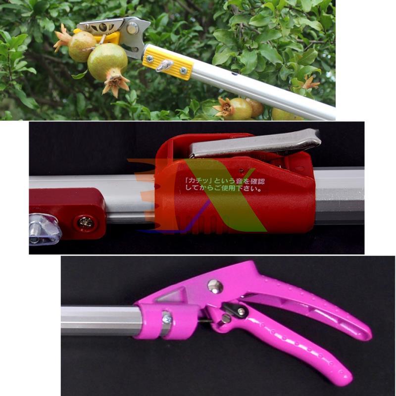 Tools fruit picking hq-3m, pickets picking fabric, pickets picking fruit label, Bird fruit picking, cutting fruit on high with clip holder (3m), together with the saw blade, pruning shears branch on high