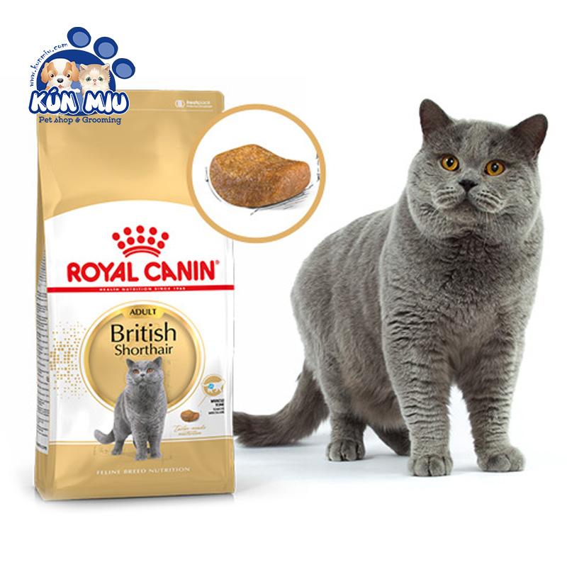 [Hoàn Tiền 10%] Thức ăn cho mèo anh lông ngắn trưởng thành Royal Canin British Shorthair Adult 2kg