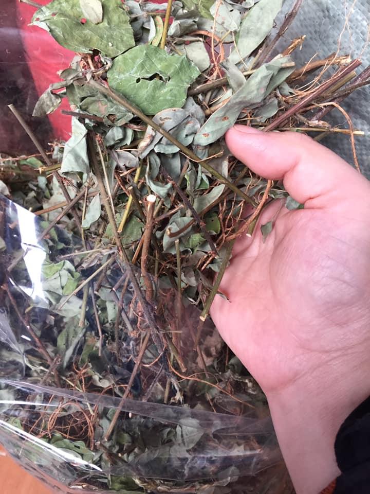 Kim Tiền Thảo khô 1kg