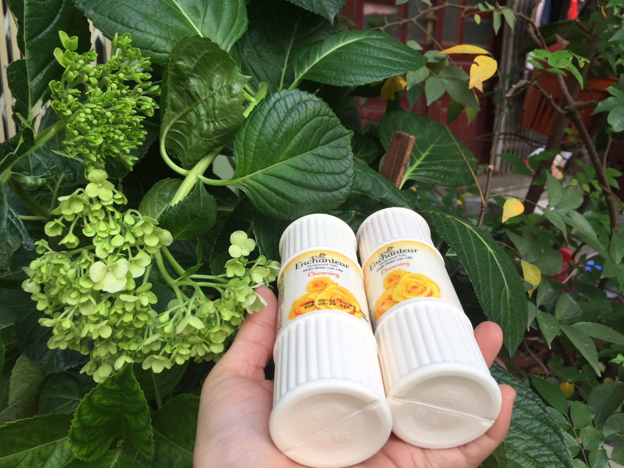 Combo Phấn Thơm cao cấp  Enchanteur Charming 50 gram