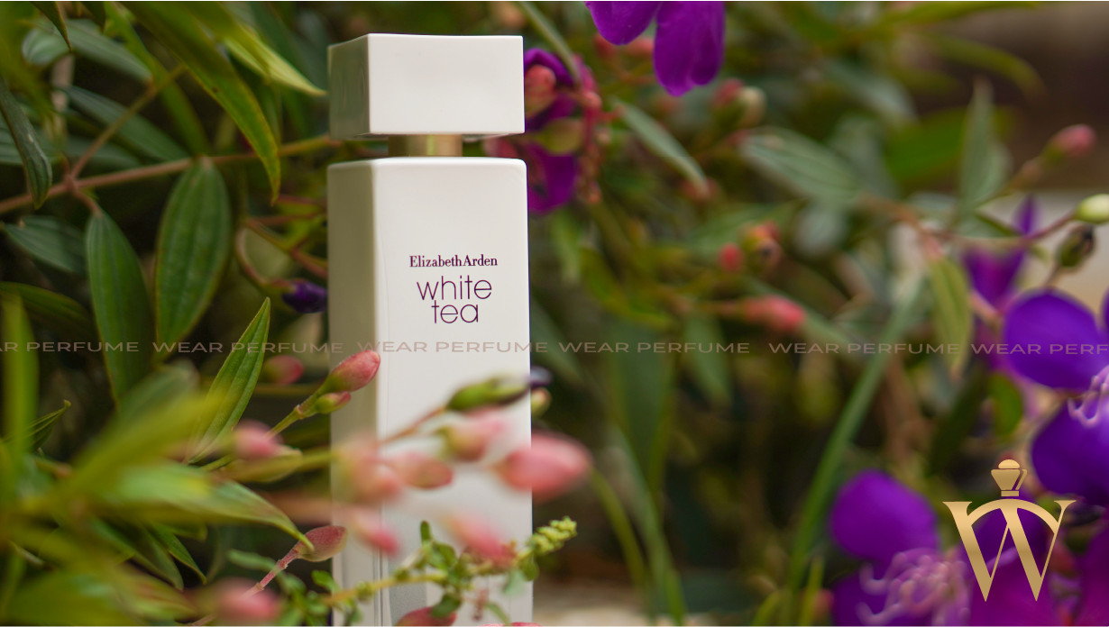 Nước hoa nữ Elizabeth Arden White Tea