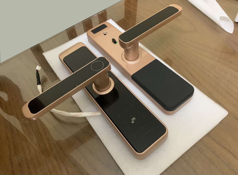 Khóa vân tay Tuya, Smart Life V8