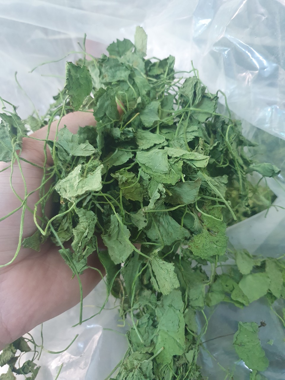 200gr bột rau má sấy lạnh nguyên chất 100%