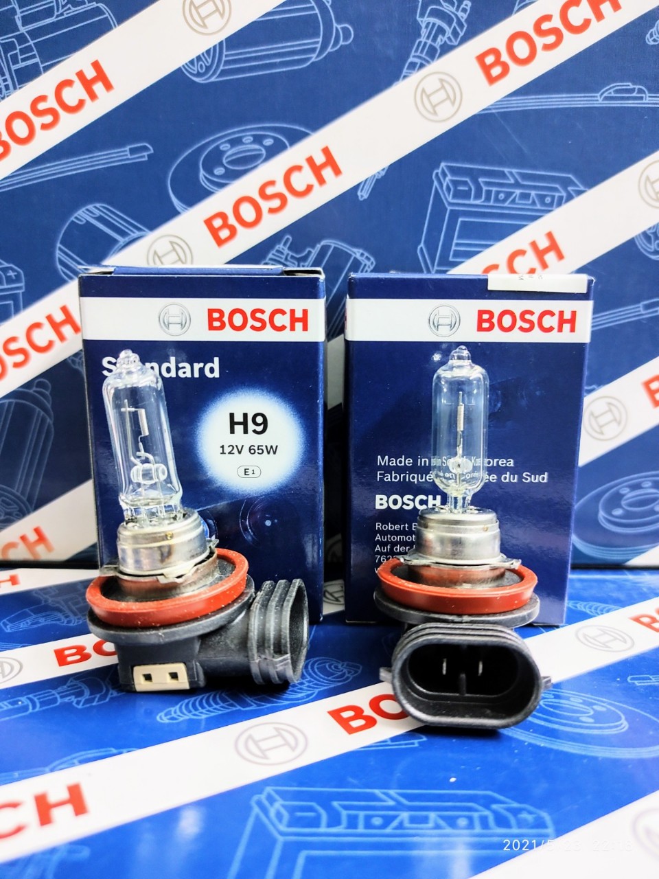 Bóng đèn bosch h9 12v 65w - mitsubishi grandis, nissan teana, mazda 6 2.0