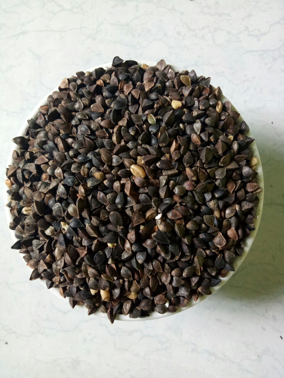 HẠT KIỀU MẠCH (BA KHÍA) CHO CHIM CẢNH, VẸT, HAMSTER