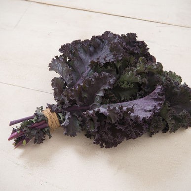Hạt Giống Cải Kale Tím Scarlet Mỹ