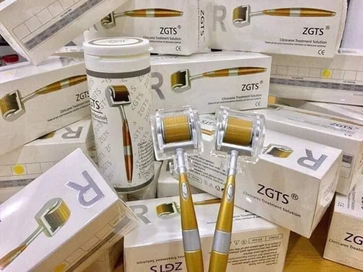 [ Kim Lăn Tay ] Cây Kim Lăn Tay ZGTS ( cao cấp )