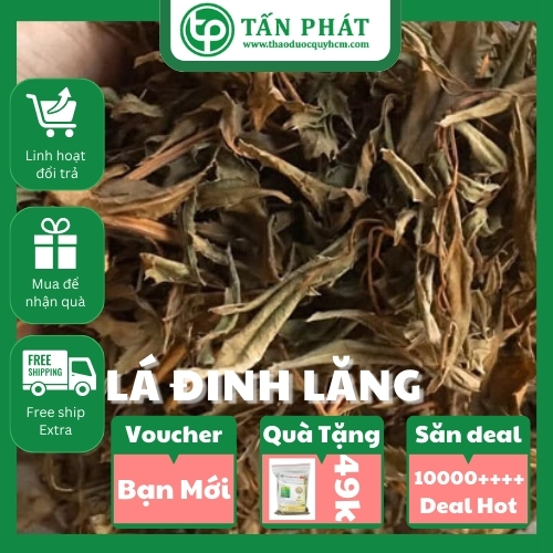 Lá đinh lăng khô 1kg - Trà ngon chuyên dùng để cải thiện giấc ngủ - Hàng loại 1 chất lượng cao