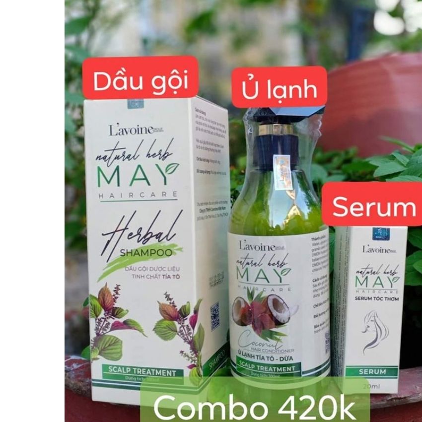 COMBO GỘI XẢ MAY - TINH CHẤT TÍA TÔ - LAVOINE
