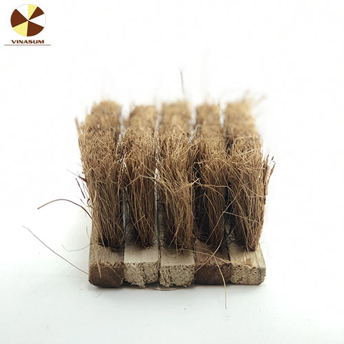 [HCM]24 Nhám Chổi xơ dừa Vinasum