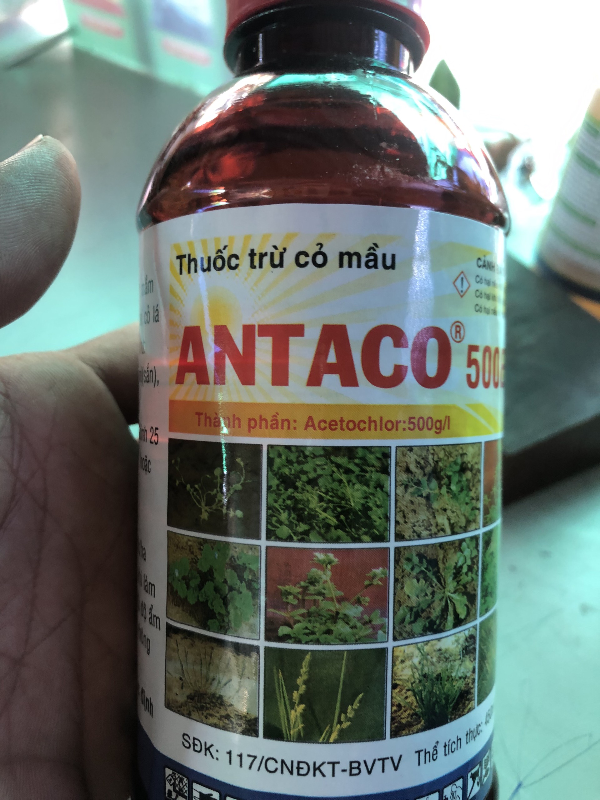 Antaco 500ec trừ cỏ mầm rẫy
