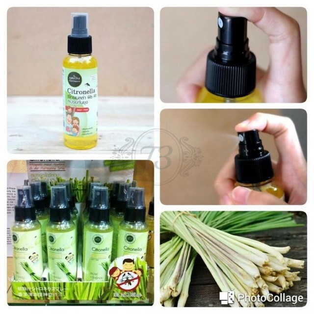 [Nhập RAISINGSTAR18, giảm 30k cho đơn 99k]Tinh dầu xịt chống muỗi côn trùng Phutawan