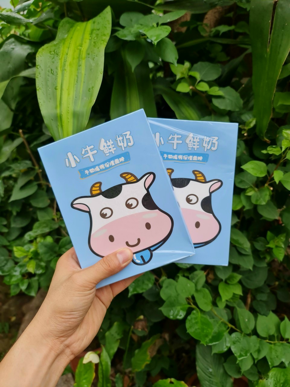 Mặt Nạ Sữa Bò Dưỡng Ẩm và Phục Hồi Da Gisse Calf Milk Facial Mask ( Hộp 5 Miếng )