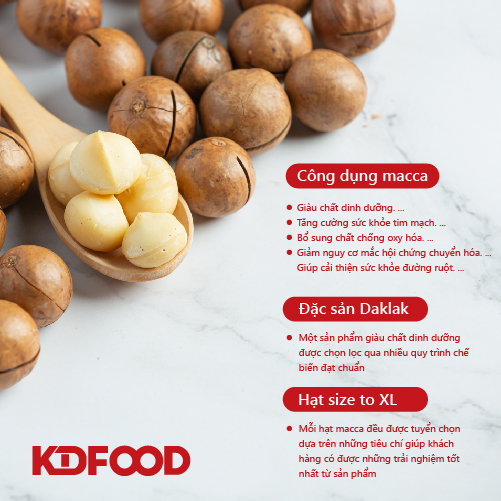 Hạt Mắc Ca Sạch ĐắkLắk - Macca Nứt Vỏ Tây Nguyên (250g/túi)
