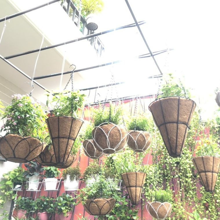 [GREEN HOUSE] Chậu treo xơ dừa chóp nón trang trí