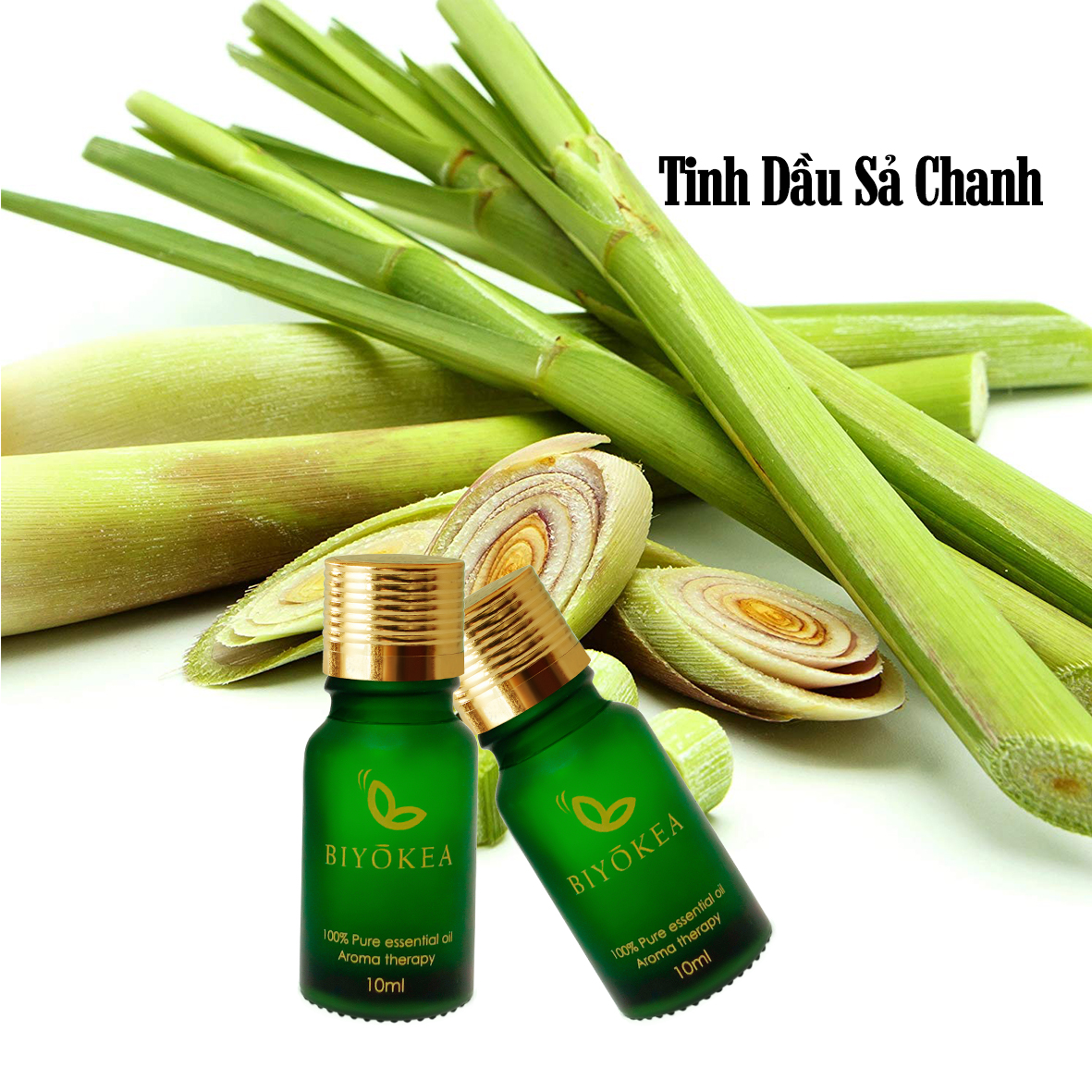 Tinh Dầu Sả Chanh Biyokea (10ml)