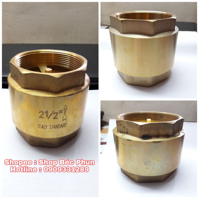 Lupe van 1 chiều lò xo thau phi 76 90 114