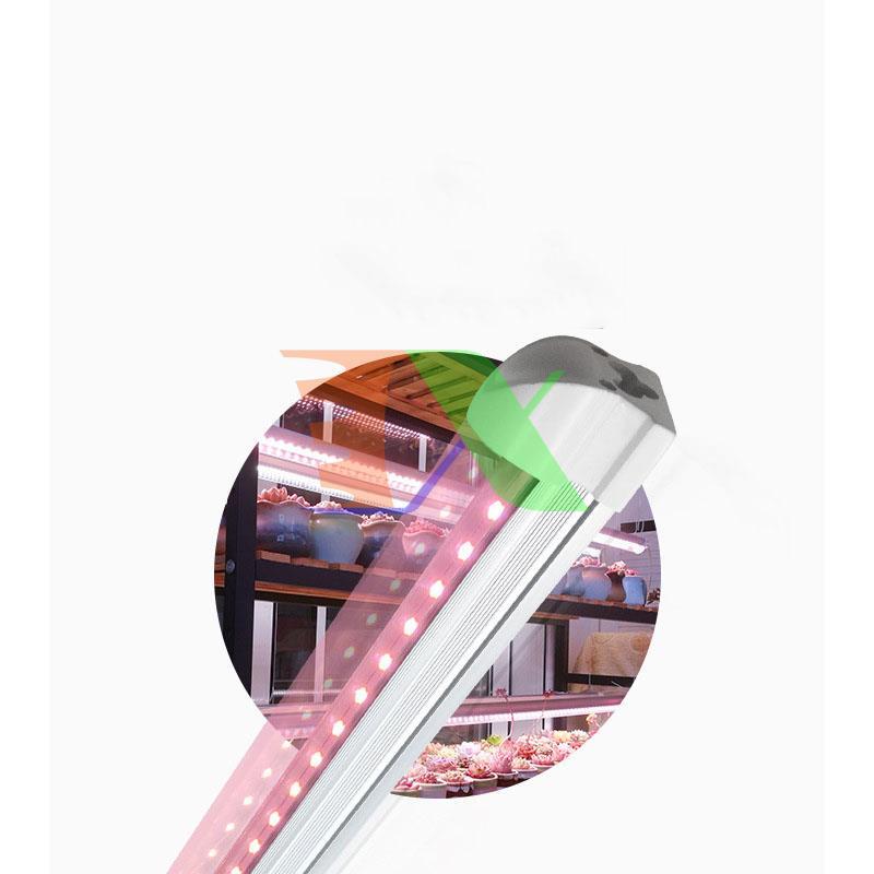 Led grow lights T8 1.2m