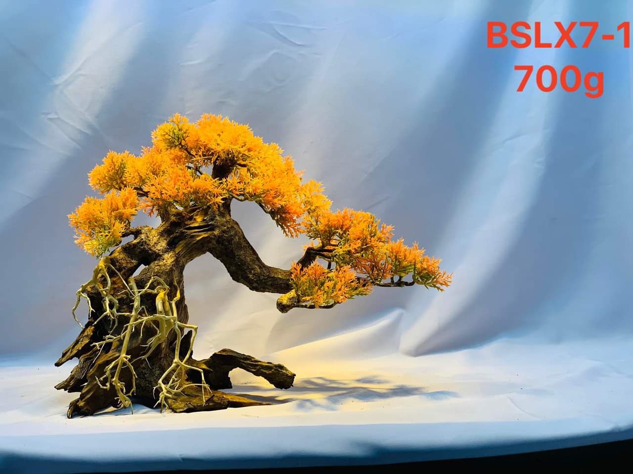 Gỗ lũa thủy sinh _ BSLX5 Driftwood bonsai_20 x25 (cm) _Cây gỗ lũa bonsai dáng đổ (Có 6 loại: Tán xương, tán gỗ, Bông Tùng xanh, Bông Tùng đỏ, Tùng Cam, Tùng màu kem)