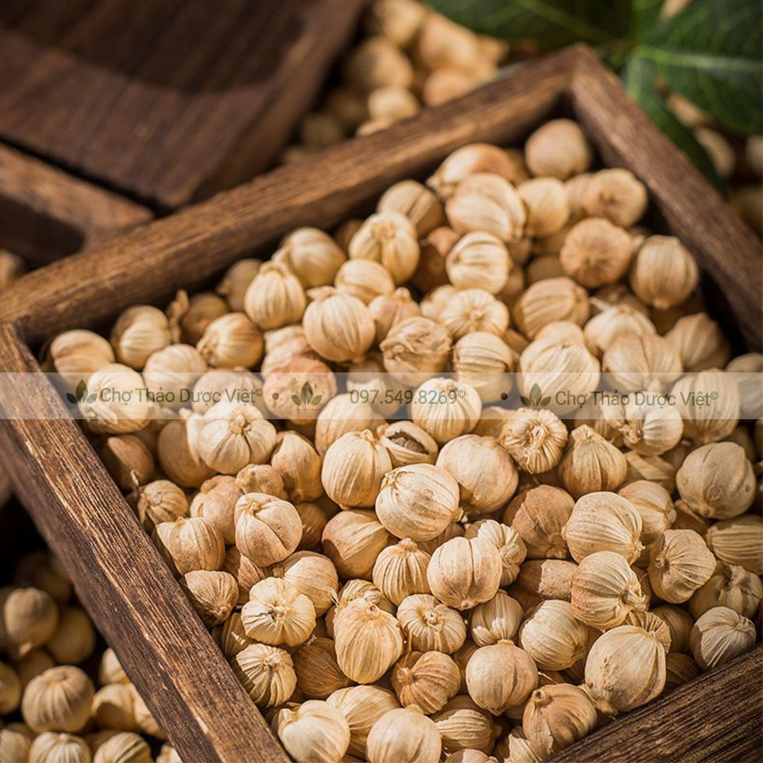 Bạch đậu khấu khô 500g, đậu khấu trắng cay, thơm, gia vị nấu ăn, nấu phở, lẩu cay Tứ Xuyên