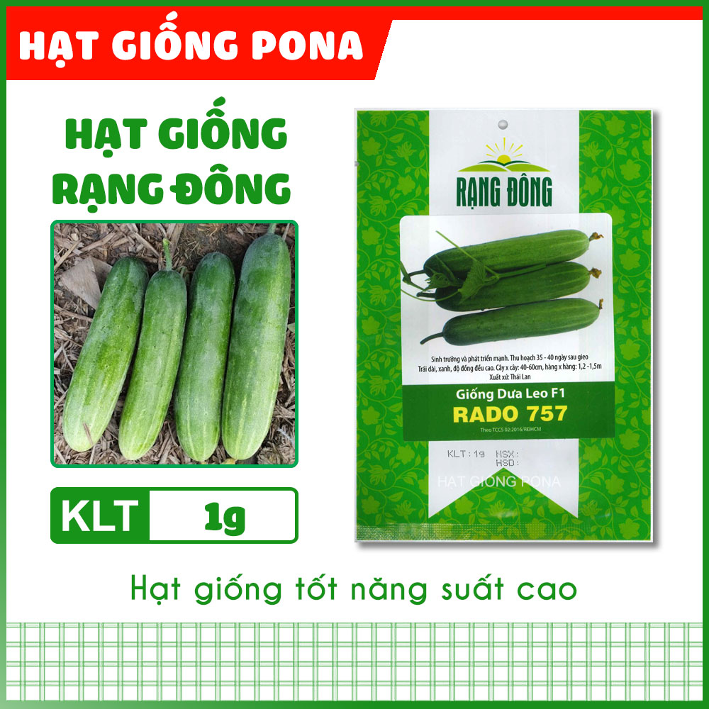 Hạt giống dưa leo f1 rado 757 - hạt giống rạng đông