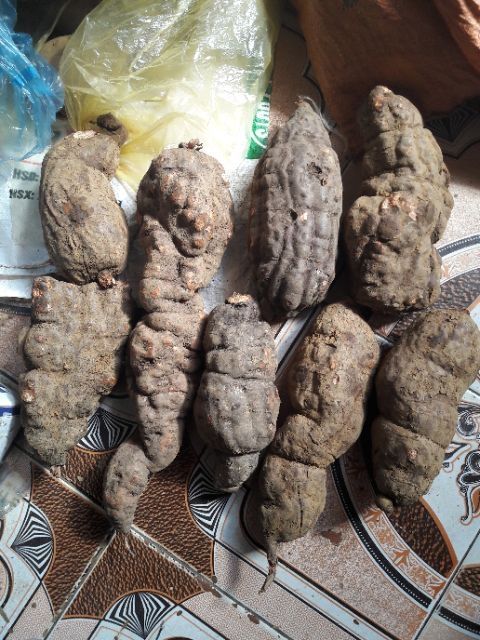 1kg hà thủ ô đỏ tươi