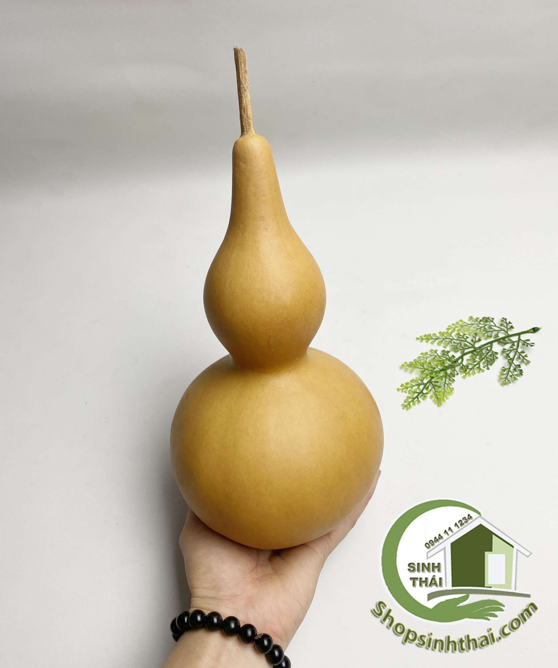 Trái bầu hồ lô - quả bầu khô