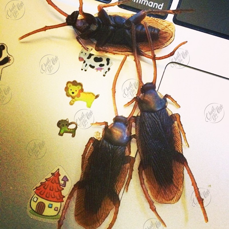 Combo 10 con gián giả nhựa dẻo 5.5cm
