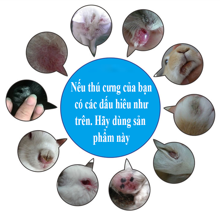 [HCM]Chai Xịt Diệt Khuẩn