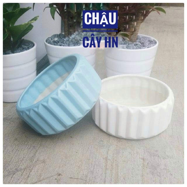 Ceramic staff plant bed table Bowl low interior shape bifurcylated cactus