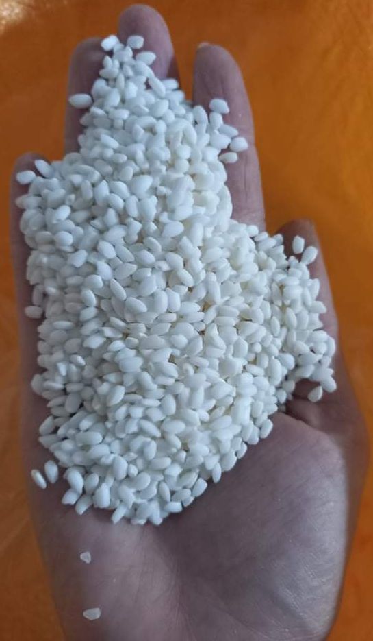 Gạo nếp Thàu Dầu ( Đặc sản Hải Hậu Nam Định)