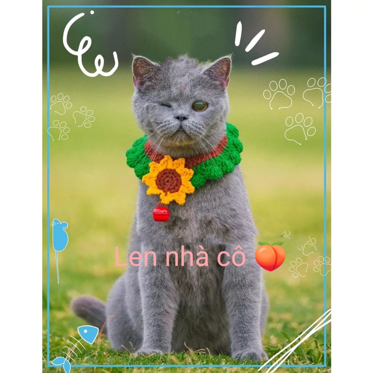 VÒNG ĐEO CỔ CHO THÚ CƯNG