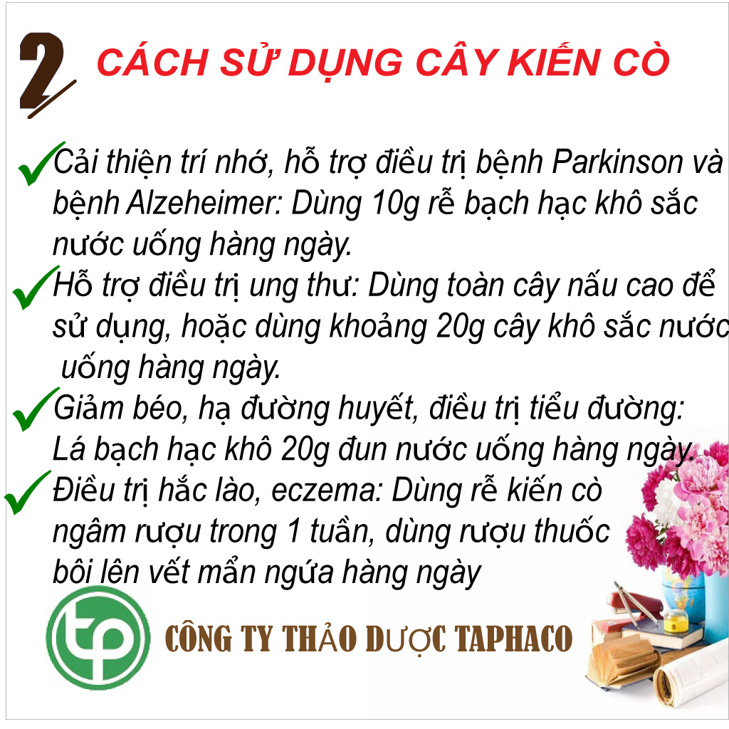 Cây kiến cò sấy khô túi lớn loại 500g  - Hàng công ty chất lượng cao - Thảo Dược Tấn Phát