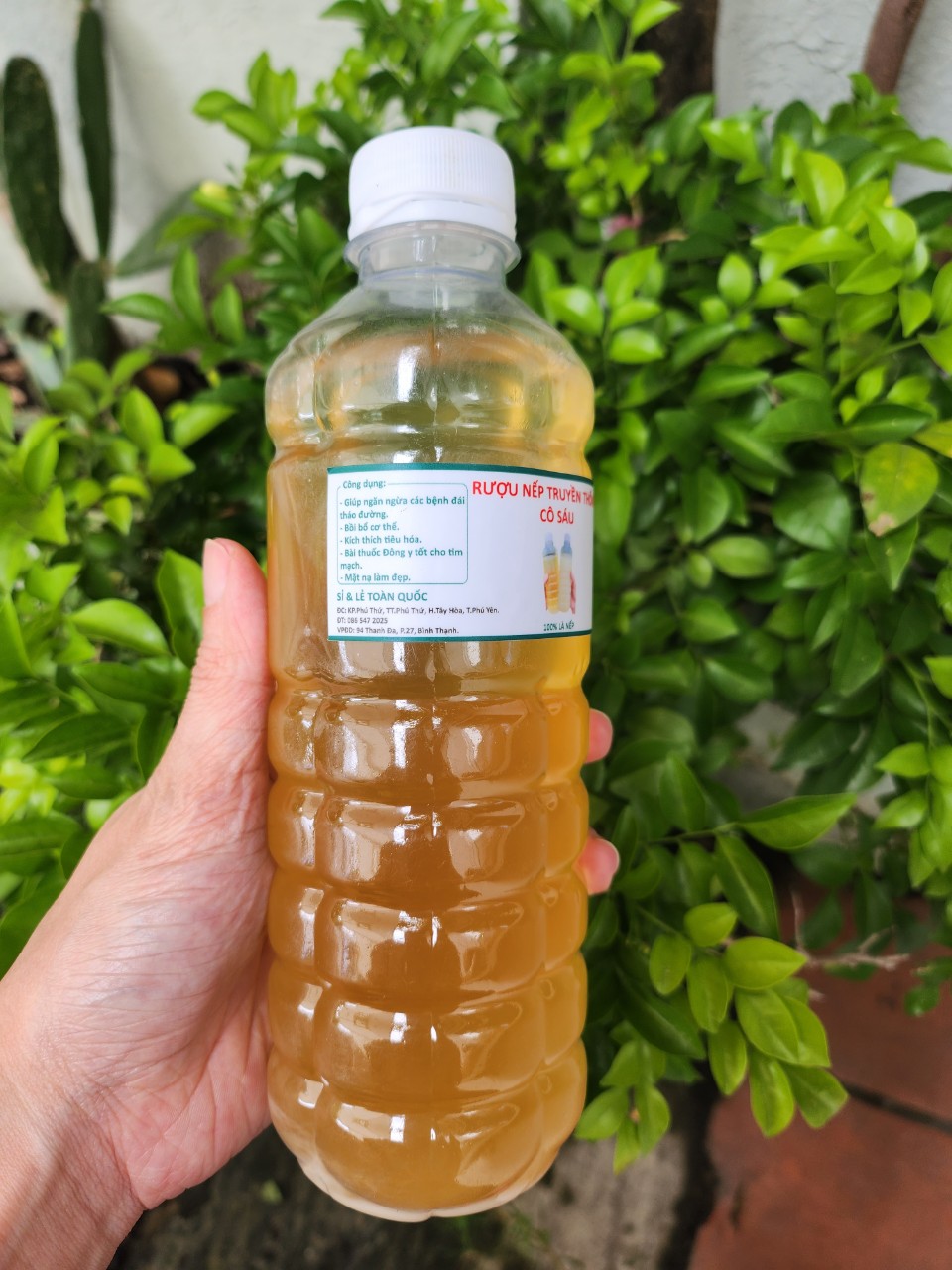Traditional Fermented Nep Le Wine
