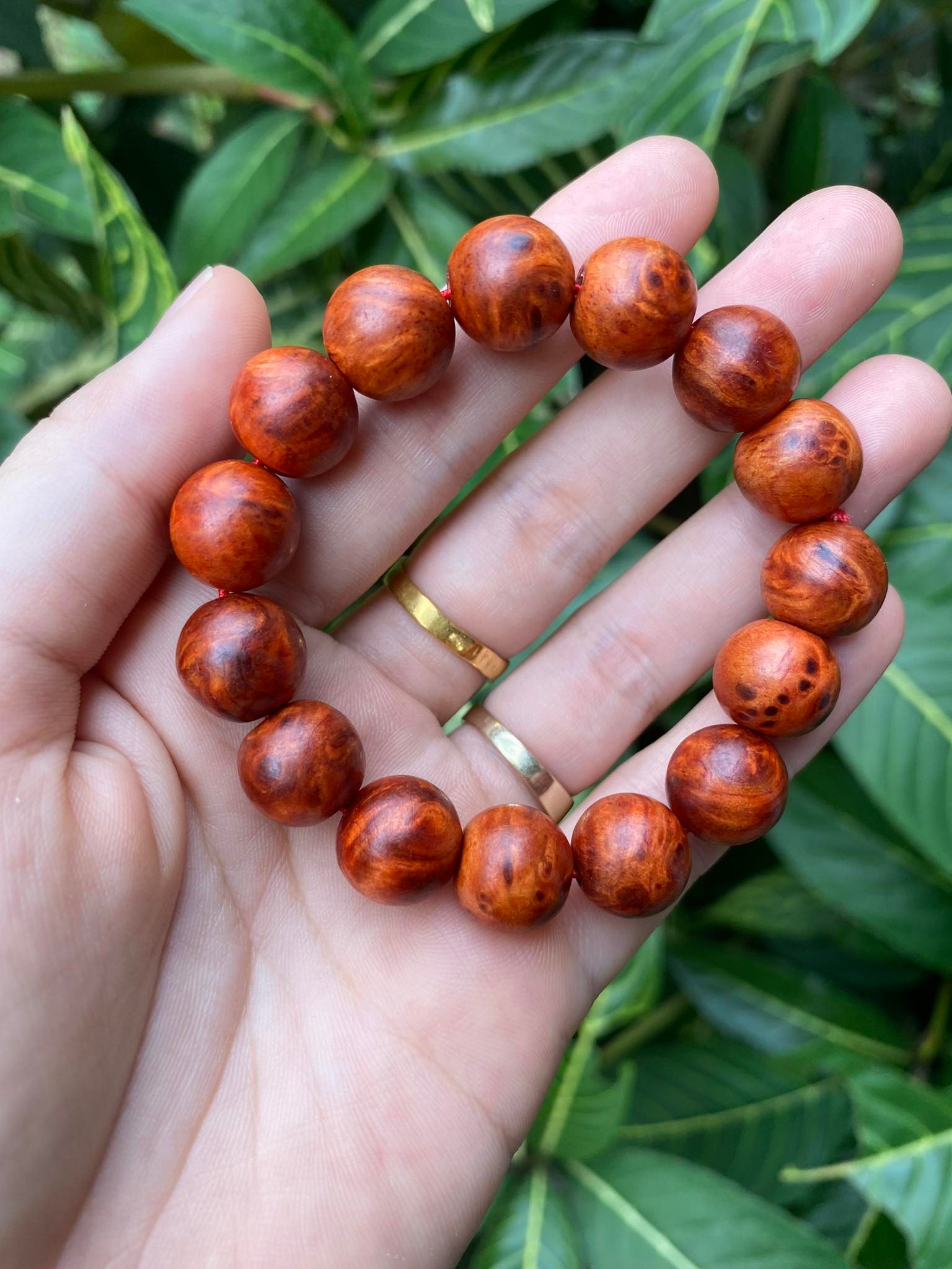 Vòng huyết long nu