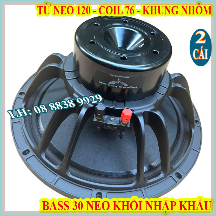 Cặp củ loa bass 30 pegasus từ neo khối coil 76 từ 120 tiếng sáng cao cấp nhập khẩu - giá 2 loa