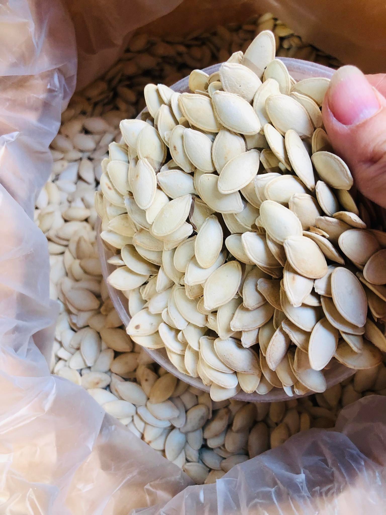 HẠT BÍ RANG TAY GIÒN NGON BÉO GÓI 500GR