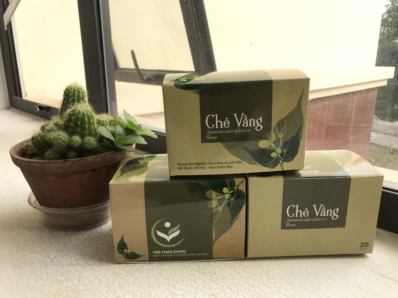 Trà túi lọc chè vằng