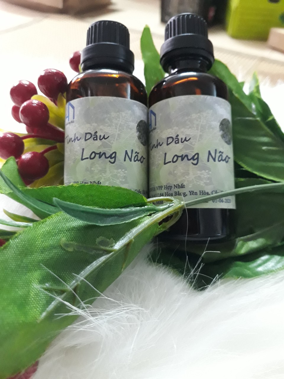Tinh dầu Long Não nguyên chất Lọ 50ml