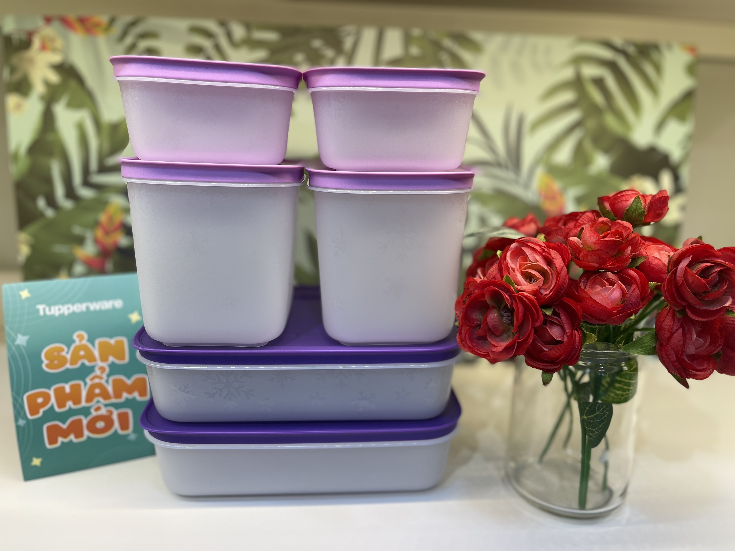 Bộ hộp trữ đông Violet (6 hộp) - Tupperware