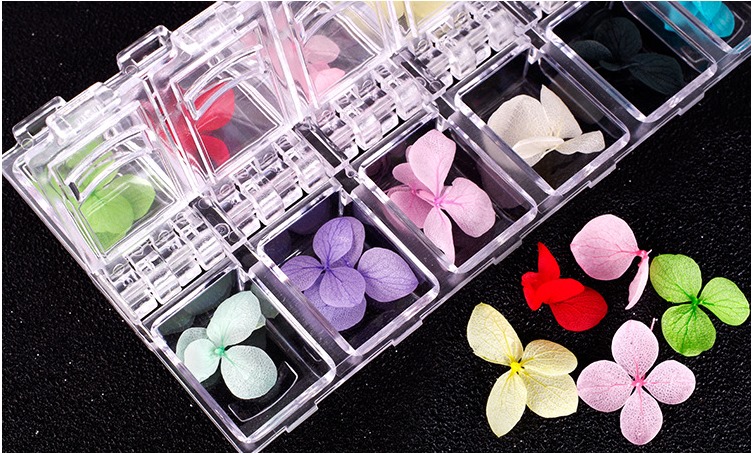 Hoa khô nail trang trí móng cánh to 12 màu