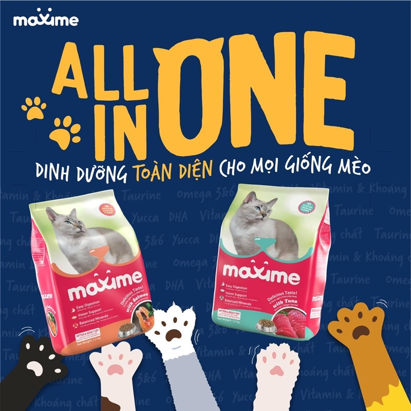 Thức Ăn Hạt Cho Mèo Maxime Cho Mèo Mọi Lứa Tuổi - Yan Pet