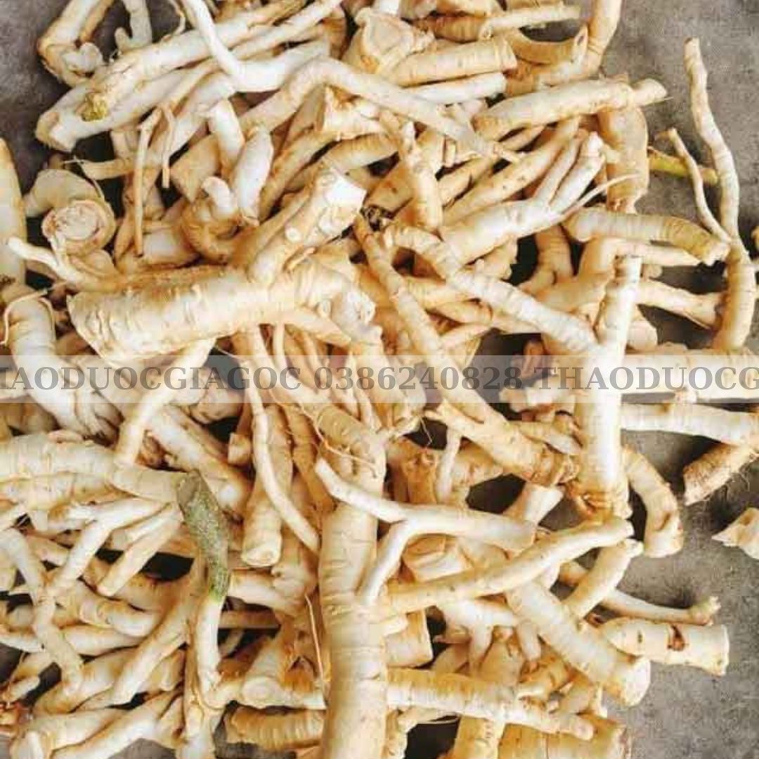 1kg củ đinh lăng khô sạch (rễ đinh lăng)thaodươcgiagoc