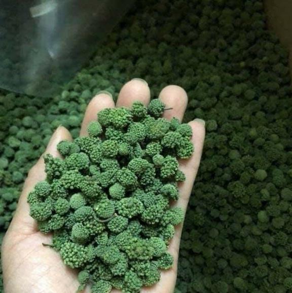 1kg nụ tam thất không cuống