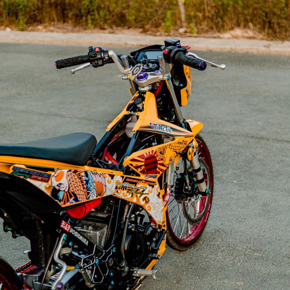 [HCM]Tem xe satria- raider  tem roi mẫu cá chép cao cấp