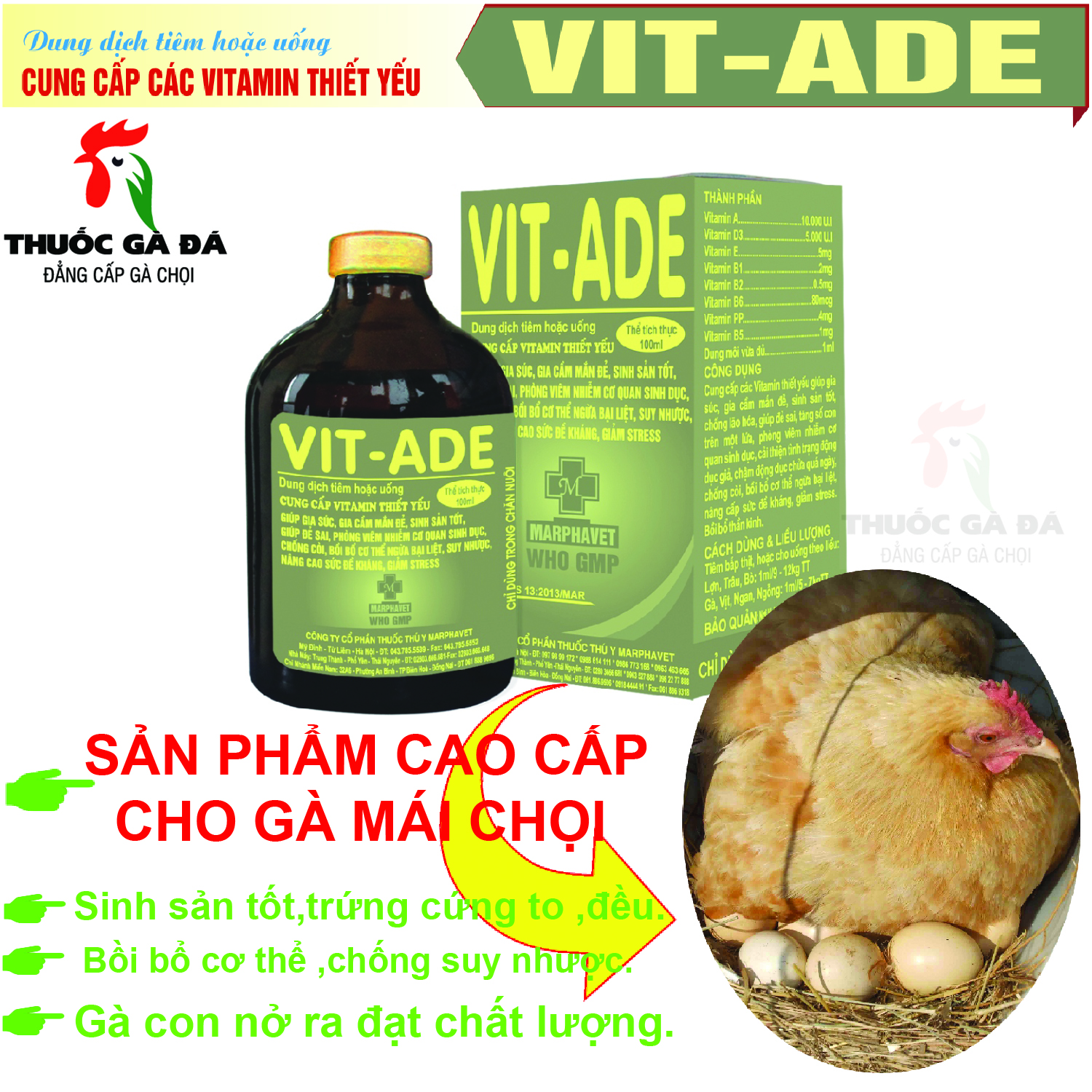 VITAMIN ADE B12 B12 CHO Gà mái,gà nọc.
