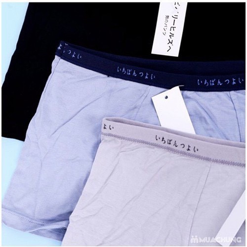 Combo 3 Quần Boxer Xì Đùi Nhật