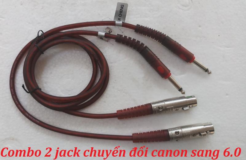 Combo 2 dây chuyển đổi tín hiệu Canon sang 6.0 - CN6.0